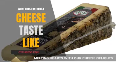 Fontinella Cheese: A Unique, Tangy Taste Experience