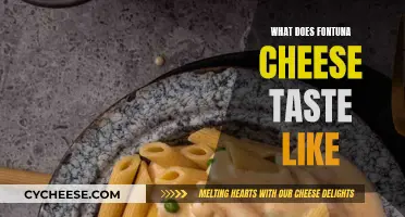 The Unique Taste of Fontina Cheese