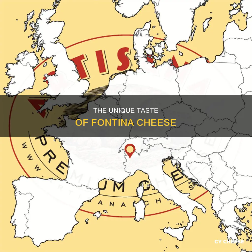 what does fontuna cheese taste like
