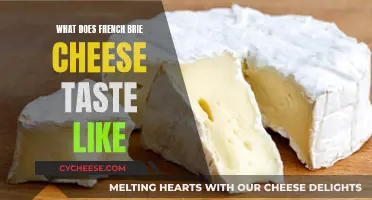 The Rich, Creamy, and Earthy Taste of French Brie Cheese