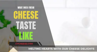 Fresh Cheese: A Beginner's Guide to Its Unique Taste
