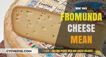 Unveiling the Meaning: What Does Fromunda Cheese Really Refer To?