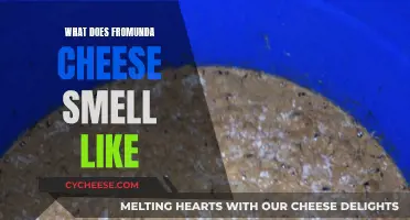 The Stench of Fromunda Cheese: What's That Smell?