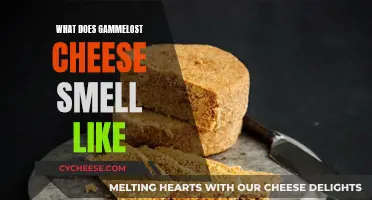 Aroma of Ancient Danish Delicacy: Gammelost's Unique Scent