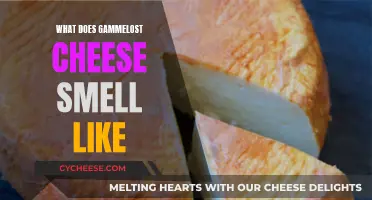 The Stench of Gammelost: A Pungent Cheese Experience