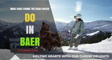 Giving the Bear Cheese in Baer: Unlocking Hidden Gameplay Secrets