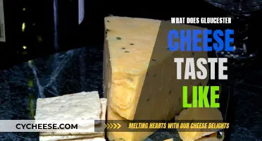 A Cheesy Adventure: Unveiling the Flavors of Gloucester