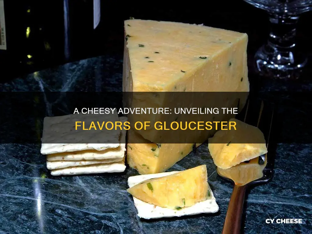 what does gloucester cheese taste like