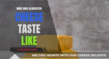 Gloucester Cheese: A Sharp, Savory Taste of England