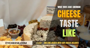 Goat Cheddar's Unique Flavor: A Tasty Adventure