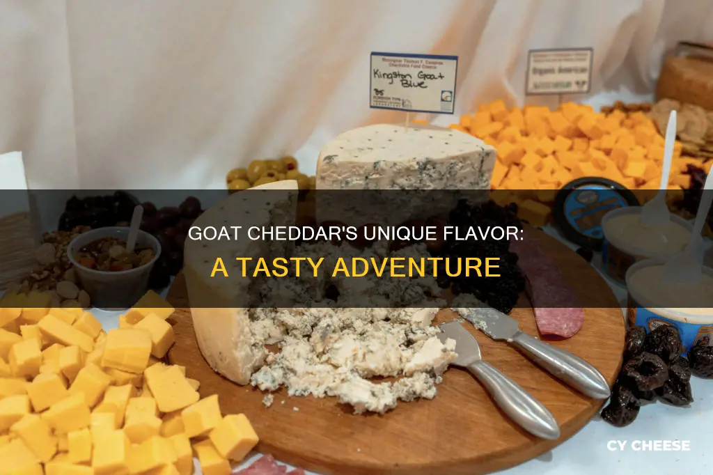 what does goat cheddar cheese taste like