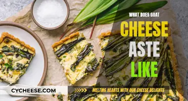 Goat Cheese Flavors: A Beginner's Guide to Taste and Texture