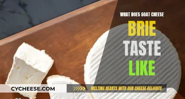 Goat Brie: A Cheesy Adventure