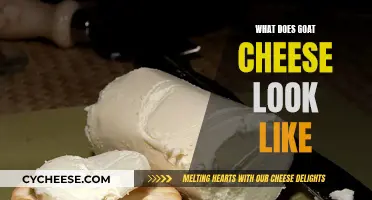 Goat Cheese: Appearance, Texture, and Color