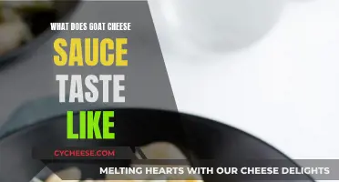 Goat Cheese Sauce: A Tangy, Creamy Delight