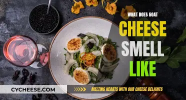 Goat Cheese: A Distinctive Aroma Explained