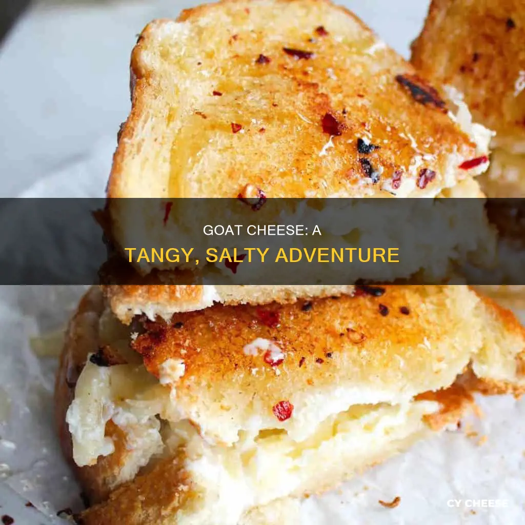what does goat cheese tast like