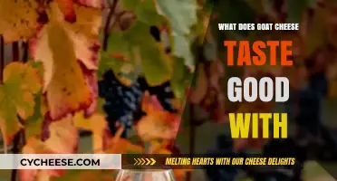 Delicious Pairings: What Does Goat Cheese Taste Good With?