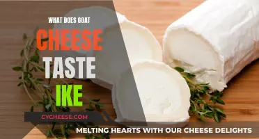Goat Cheese Taste: Tangy, Salty, and Creamy