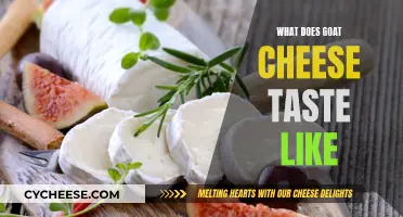 Goat Cheese: A Tangy, Salty, and Creamy Adventure