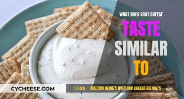 Exploring the Flavors: What Does Goat Cheese Taste Like?