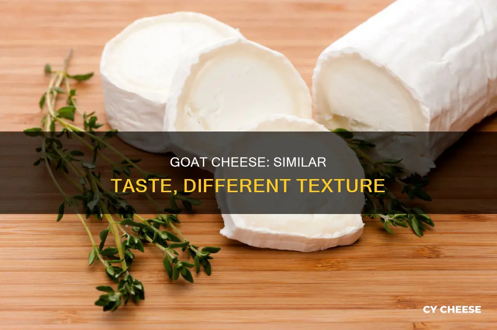 what does goat cheese taste similar to