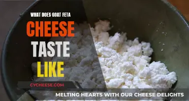 Goat Feta: A Cheesy Adventure in Flavor