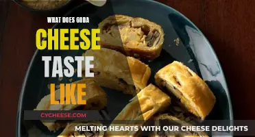 Goda Cheese: A Unique Swiss Taste Experience