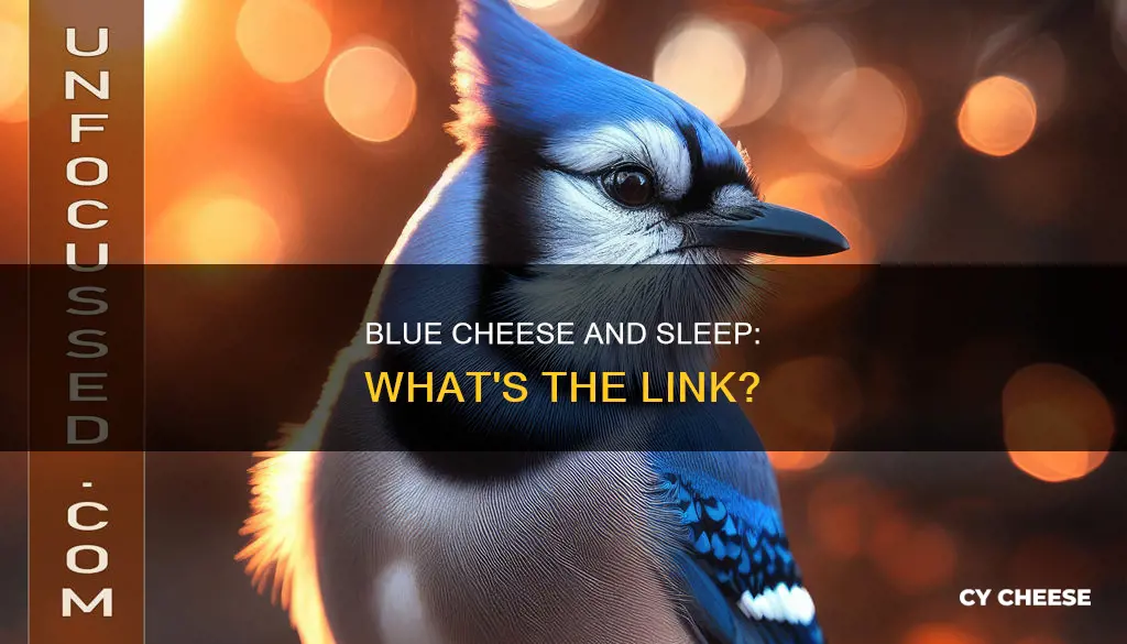 what does goodnight blue cheese mean