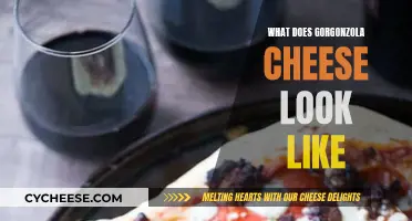 Gorgonzola Cheese: A Distinctive Blue Vein Appearance