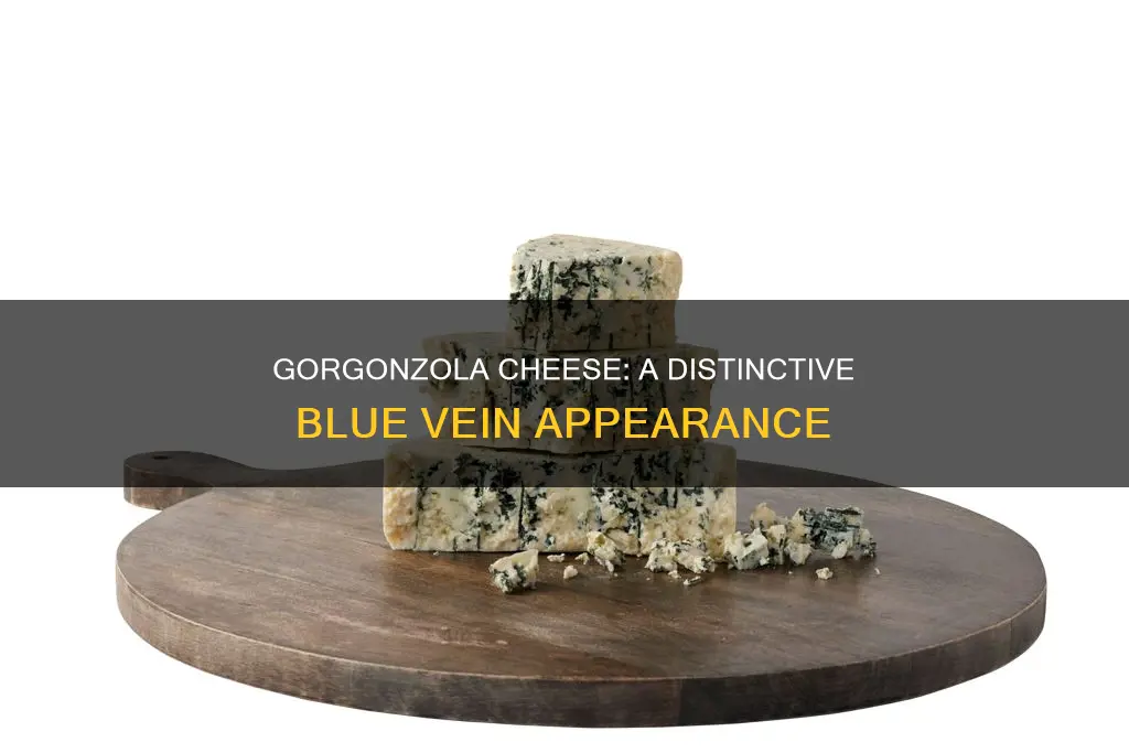 what does gorgonzola cheese look like