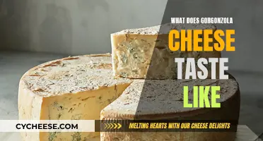 Gorgonzola Cheese: A Distinctive Taste Experience