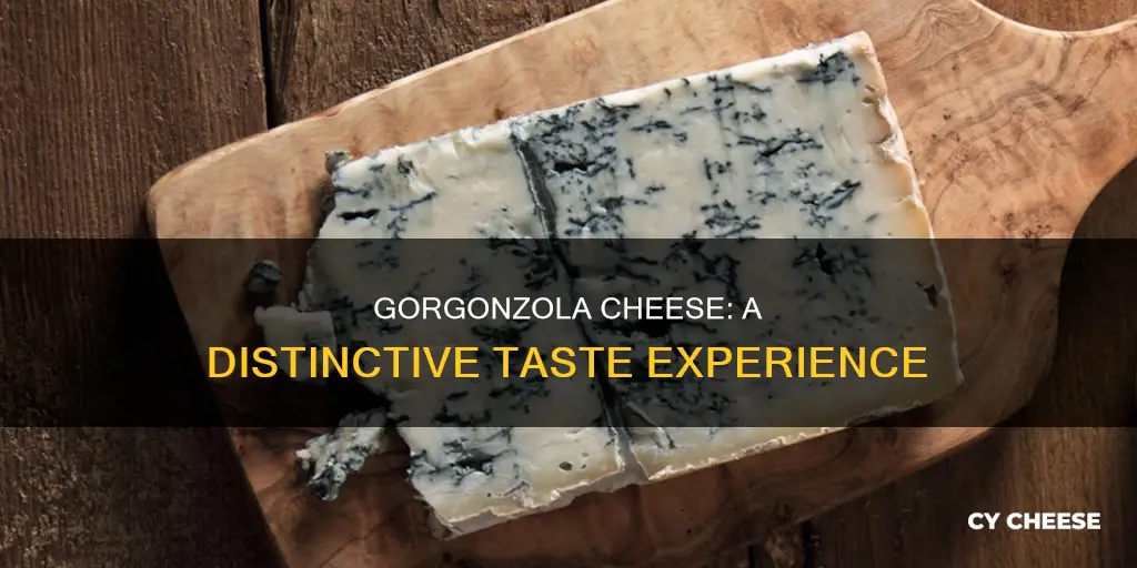 what does gorgonzola cheese taste like