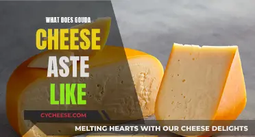 Gouda's Golden Age: A Tasty Adventure