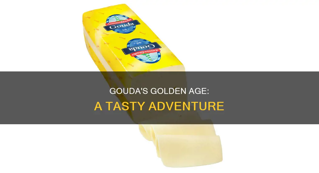 what does gouda cheese aste like