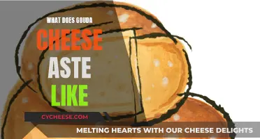 The Taste of Gouda Cheese: A Savory Adventure
