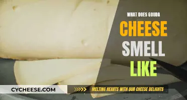 The Aroma of Gouda: A Cheesy Adventure