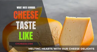 Exploring the Unique Flavor of Grounda Cheese: A Tasty Adventure