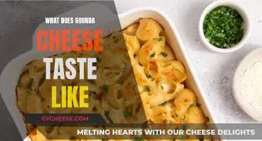 Gouda Cheese: A Buttery, Sweet, and Savory Taste Experience