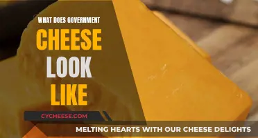 Unveiling the Mystery: Visual Guide to Government Cheese