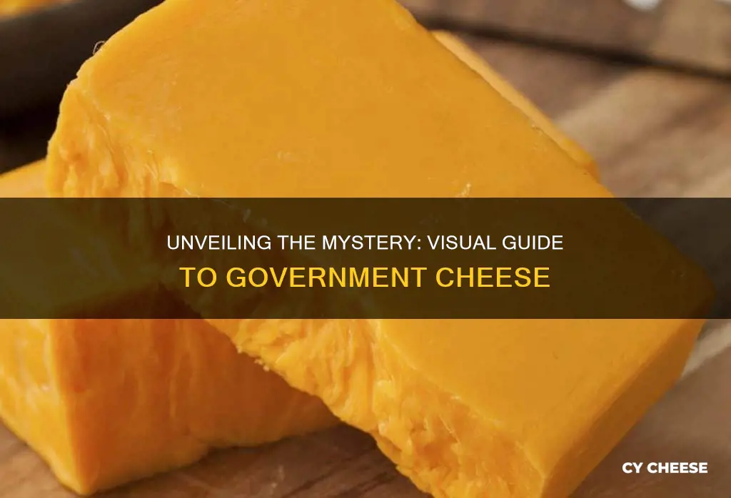 what does government cheese look like