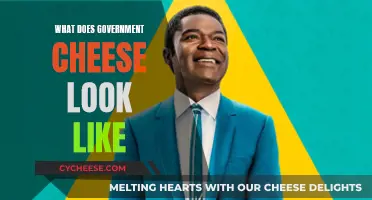 Government Cheese: What It Looks Like and Why