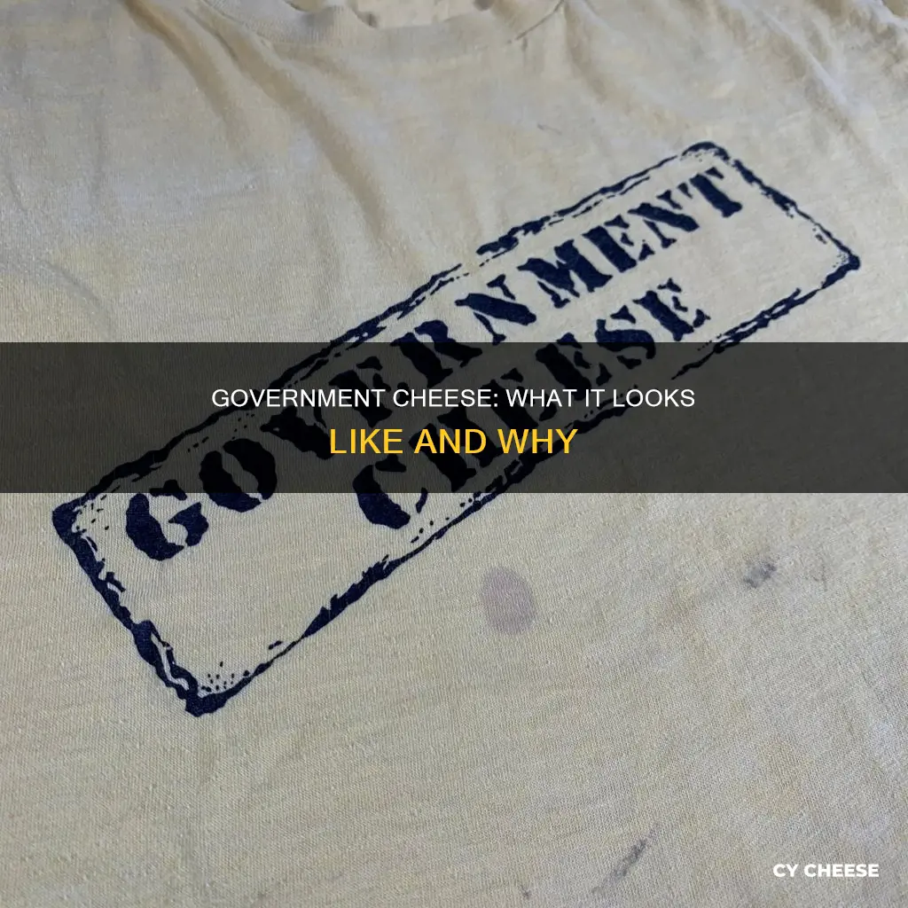 what does government cheese look like