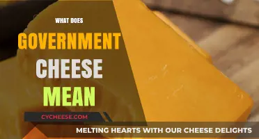 Understanding Government Cheese: History, Meaning, and Cultural Impact Explained