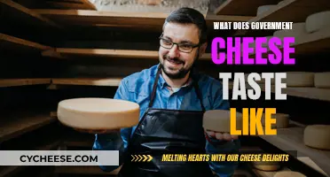 Government Cheese: A Tasty Treat or Not?