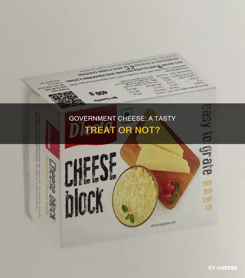 what does government cheese taste like