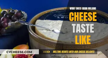 The Unique Taste of Gran Milano Cheese