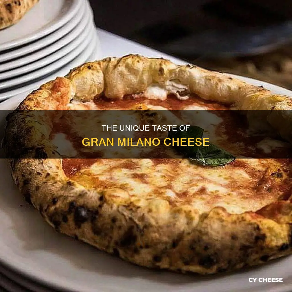 what does gran milano cheese taste like
