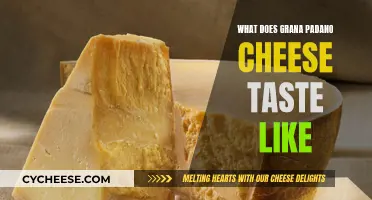 The Unique Taste of Grana Padano Cheese
