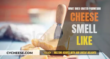 The Aroma of Grated Parmesan Cheese: A Sensory Guide